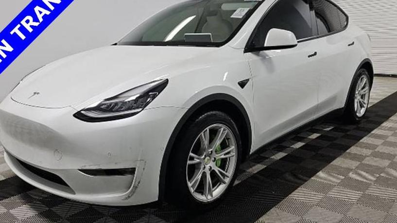 TESLA MODEL Y 2021 5YJYGDEE4MF083031 image